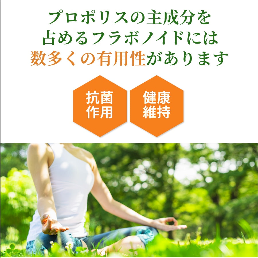 プロポリス配合ハミガキ トータルケア フレッシュミント 100g ペーストタイプ コンビタ