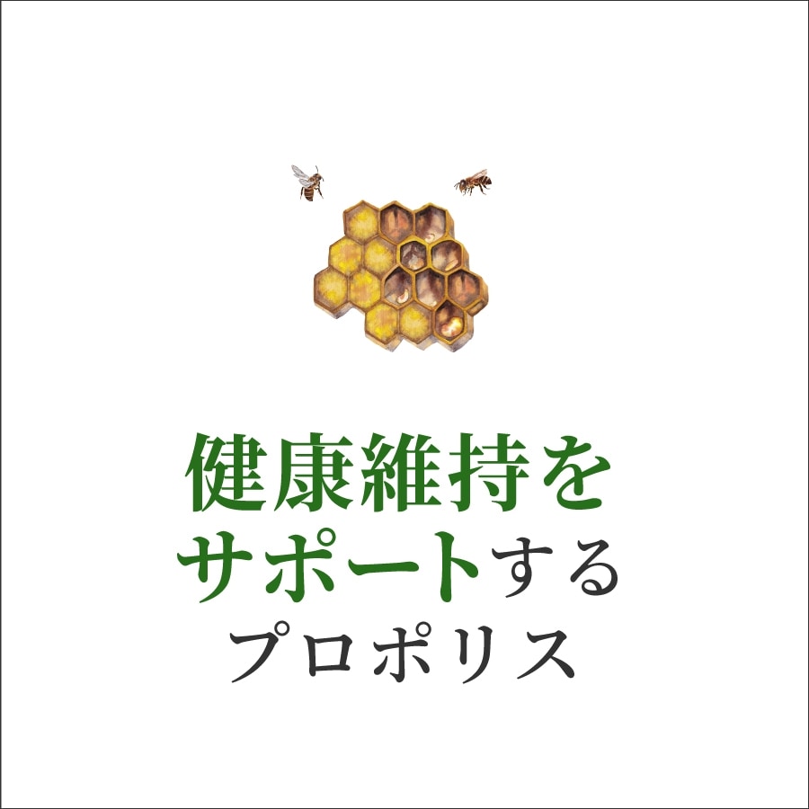 プロポリス配合ハミガキ トータルケア フレッシュミント 100g ペーストタイプ コンビタ