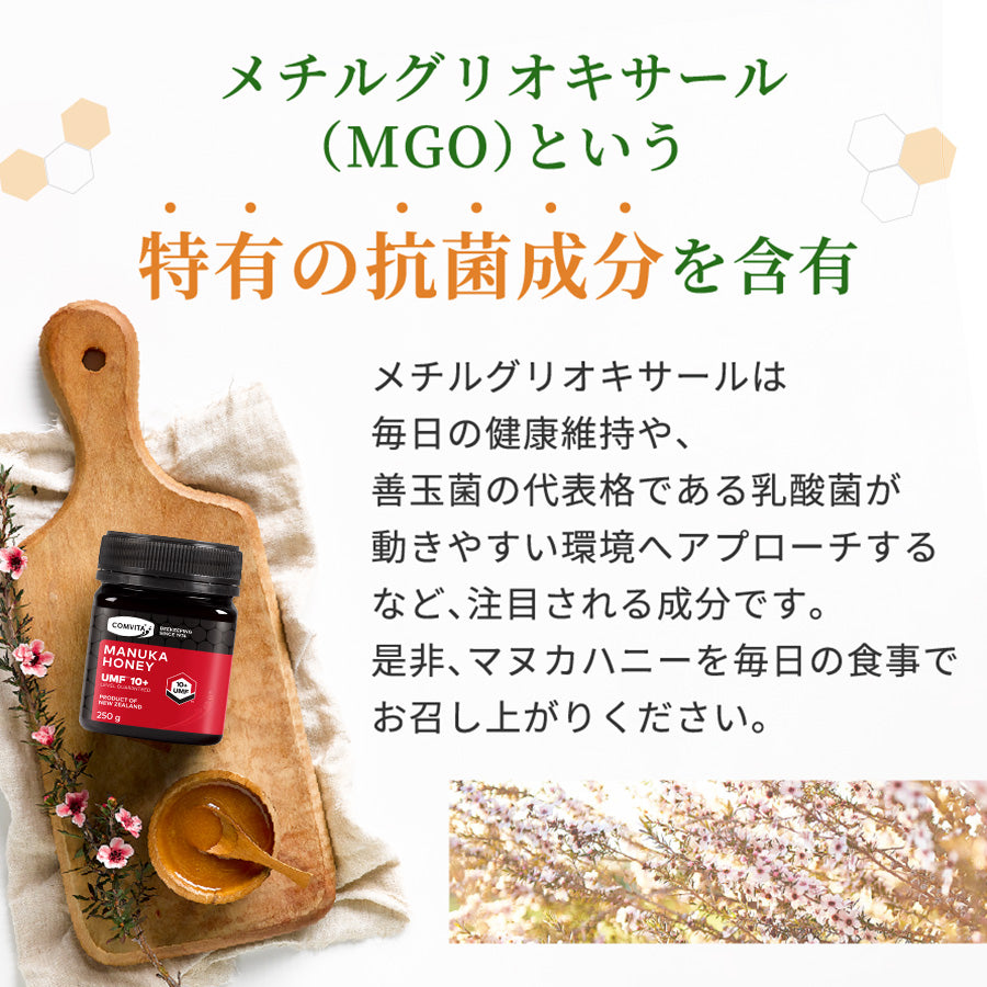 UMF10+ マヌカハニー 500g