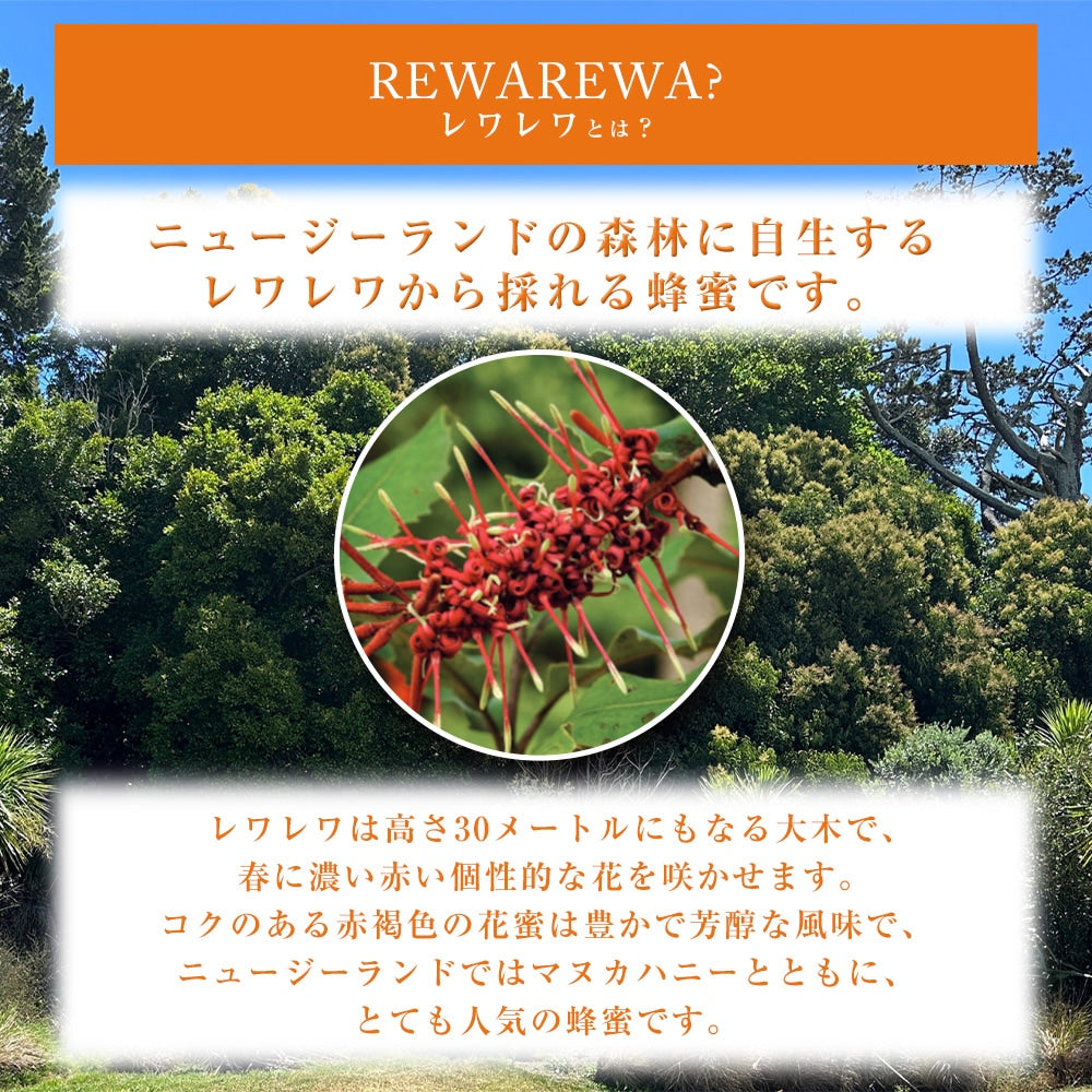 レワレワハニー 500g