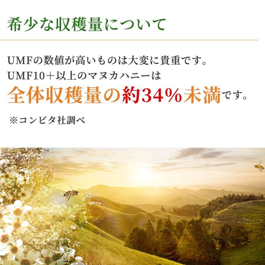 UMF10+ マヌカハニー 500g