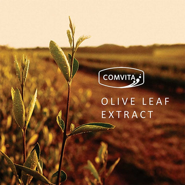 Olive Leaf Extract – 500ml (Set of 2 Bottles)