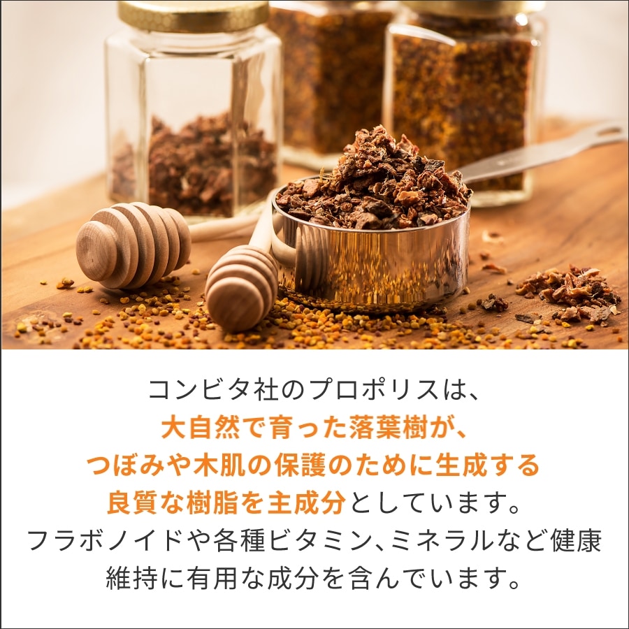 プロポリス配合ハミガキ ジェルタイプ マイルドミント 90g コンビタ